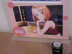 �T���v������̏��c�}�d�S�V�h�w�ւ̓��e�ʐ^1