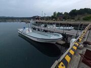 takasikuni̐Vނ蔳̓eʐ^1