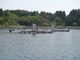 takasikuni̐Vނ蔳ւ̓eʐ^2