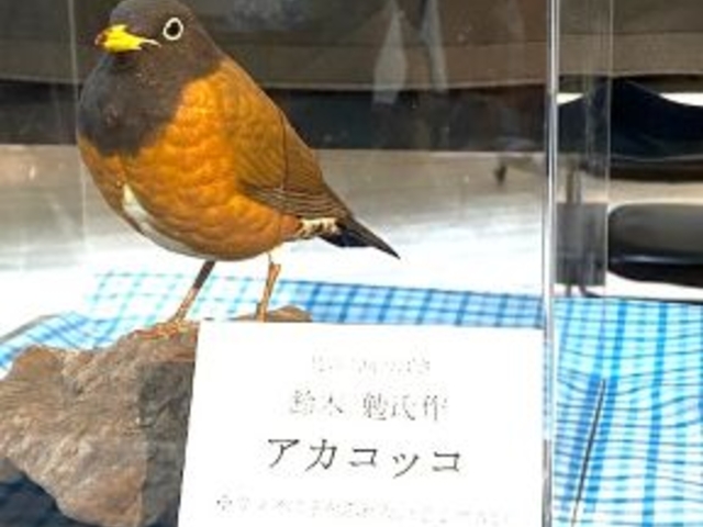 ÐhF̎ORӂꂠZ^[AJRbRق̓eʐ^4