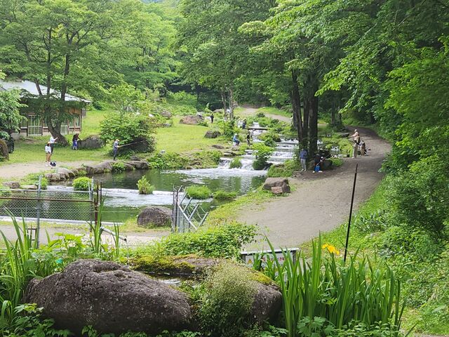 ▼希少 宮城県の渓流 釣り場 東京起点・日帰り1泊で楽しめる 東北の渓流 ③a Amazon.co.jp: 宮城県の渓流: 仙台起点日帰り1泊で楽しめる
