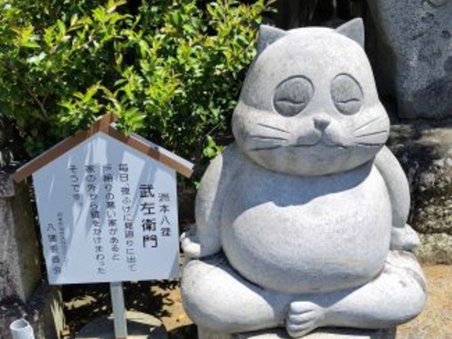 ͂񂳂̒WHٍV@_Ђ̓eʐ^6