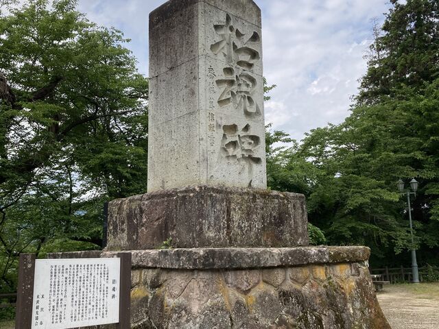 ����������_����������