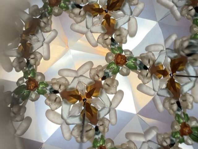 �V�[�O���X�ƊL�k�ō��܂���_�H�[ �A�I�g�~�h��