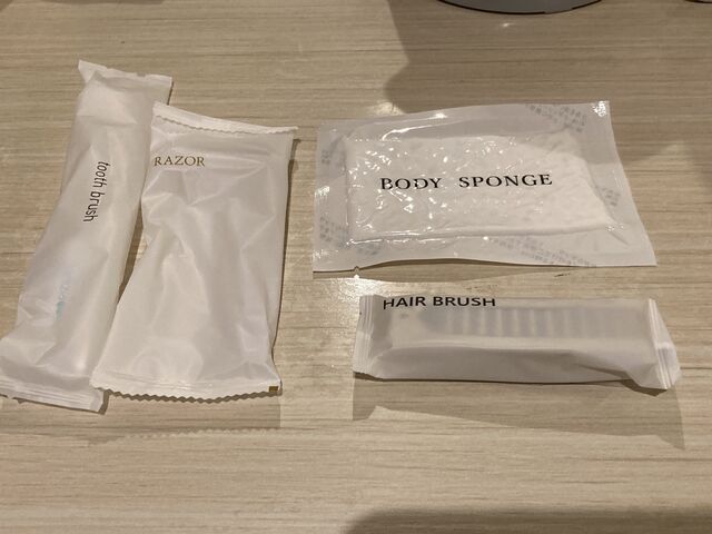 �z�e�� �����g�r���[�đ�_�z�e���@�����g�r���[�đ�