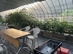 WN\̃A}YK[fcBBQւ̓eʐ^1