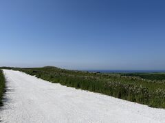 @SY̒t̊یʊЂւ̓eʐ^1