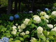 O`̎Oˎ̃AWTC̓eʐ^1