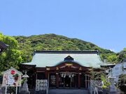 ͂񂳂̒WHٍV@_Ђ̓eʐ^4