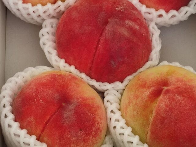 �@�������N�[���[�{�b�N�X�ŗ�₵�������A�����ڂ͂���Ȋ����B_��ԉ�