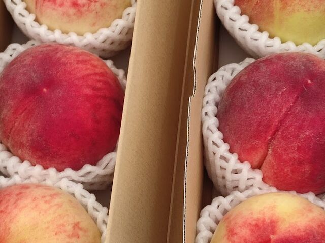 �@�炪�Ԃ݂����������ƁA���F���������������������Ɨ����������B_��ԉ�