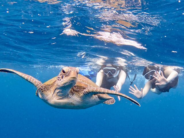 �E�~�K���ƎB���Ă��炢�܂���_South Blue