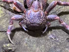 񂱂낳OCEAN LIFEւ̓eʐ^1