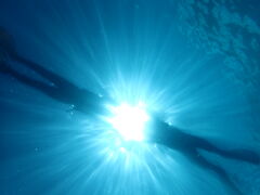 ҂҂̗όU@}NuWCւ̓eʐ^1