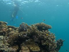 kit̐Ί_ ADVENTURE PiPiւ̓eʐ^1