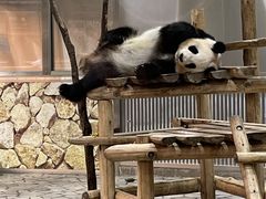 AHIRU����̃A�h�x���`���[���[���h�ւ̓��e�ʐ^2