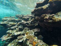 ߂̐Ί_ ADVENTURE PiPiւ̓eʐ^1