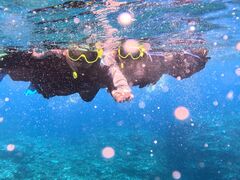 ₩̐Ί_ ADVENTURE PiPiւ̓eʐ^1