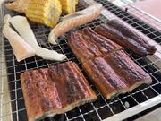 yoshi̔lp[LvH̓eʐ^2