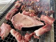 yoshi̔lp[LvH̓eʐ^3