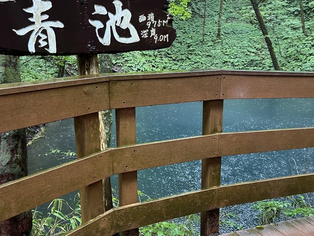 �J����������~���Ă��鎞�̐r_���_�R�n�K�C�h��