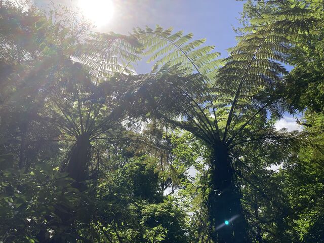 �r���J���p���p�����܂������A�����Ă��邤�ɂɉf������_�A�h�x���`���[����