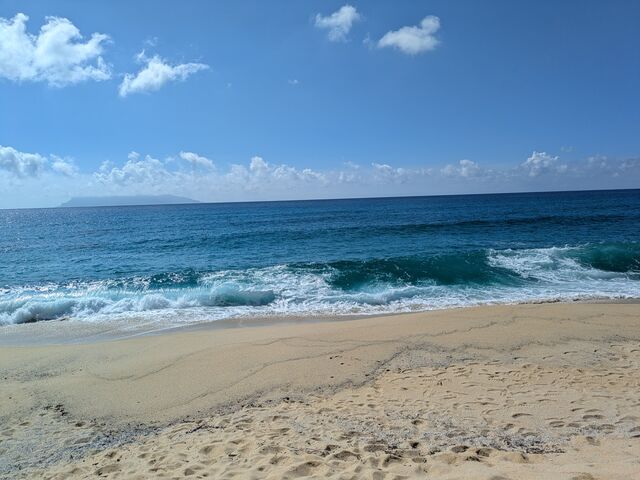 �Y��ȊC_���v�����g���[�g�V�����e�B�[