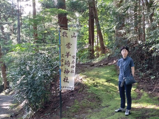 ���a�͔��ɔ������ې����Ă���_��r��_��