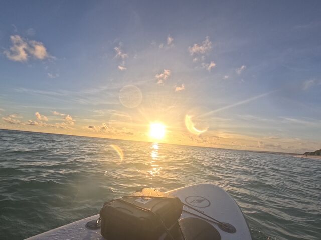 �Ƃ��Ă��Y��ȗ[���ł����I_�C�P�����p���_�C�X �{�Ó�