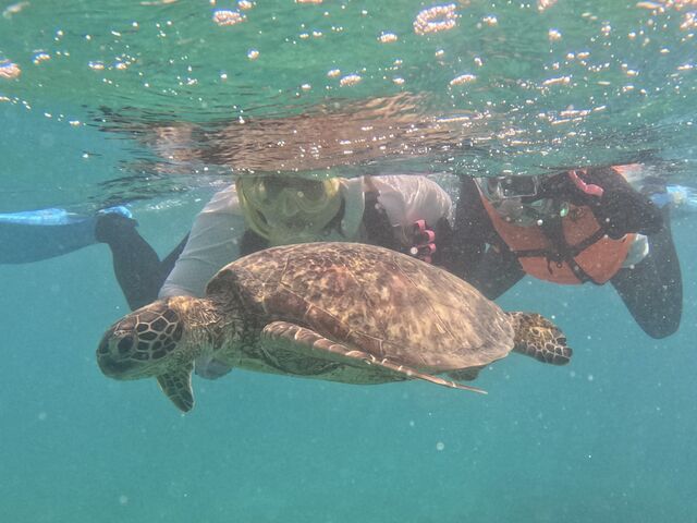 ���p���ɍ��킹�Ď��������ڋ߁I_OCEANZ - �I�[�V�����Y