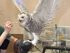 z[[̃ANAtHXg@-̐X-ւ̓eʐ^1