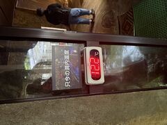 ނpp̔ˑߓ勴RNVقւ̓eʐ^1