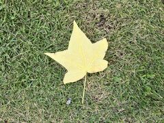 harusũAh}[j Xւ̓eʐ^1