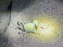 t[W̐Ί_ ADVENTURE PiPiւ̓eʐ^1