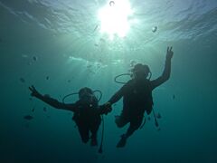 ق̃}Nu Gigiւ̓eʐ^1