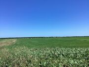 ����������̃G�T�k�J���̓��e�ʐ^2