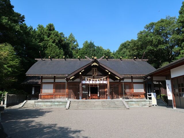 Ђł񂳂̑H_Ђ̓eʐ^1