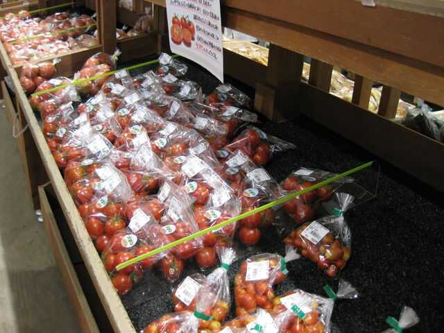 �Y���̐V�N�Ȗ�؂�����_���̉w ������ ����E��Í≺