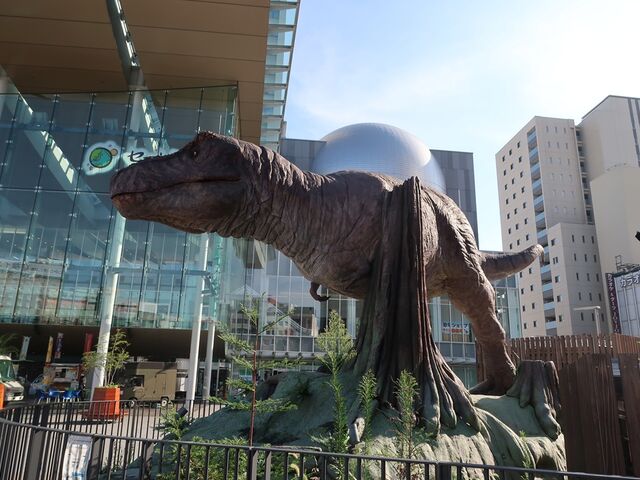 Ђł񂳂̕wuLv̓eʐ^1