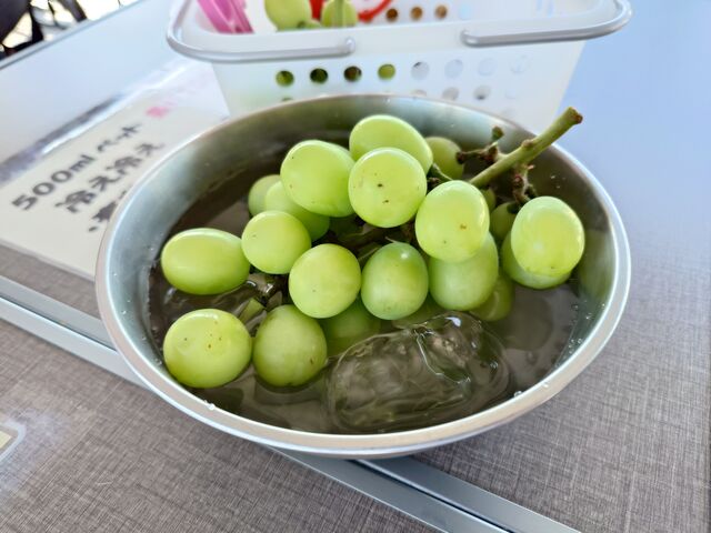 �X����p�ӂ��Ă���čX�ɔ�����������_�A�O���[���p�[�N �F�s�{�Ԃǂ��̓m