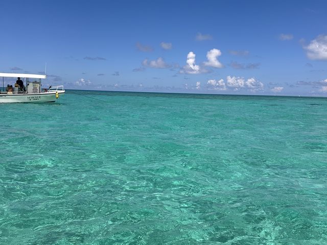 ��т��u���[�������[_�ɗǕ����c�A�[�@�}�J�i