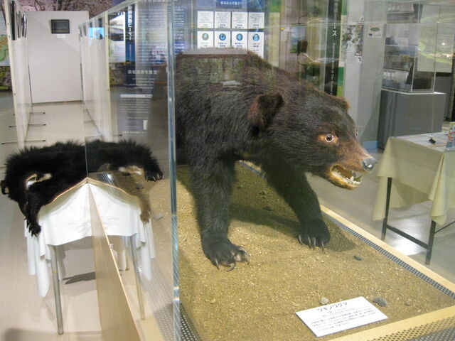 ÃrW^[Z^[@cLmO}̂͂W_όYفuv