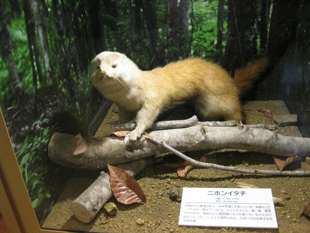 ÃrW^[Z^[@jzC^`̂͂W_όYفuv