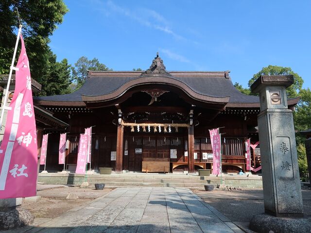 Ђł񂳂̓_ЁiʐVc`V{j̓eʐ^1