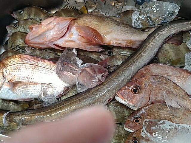 �������A�͂��A�^�����ȂǑ務�ł���
_�󐳊�