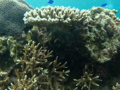 ^[U̐Ί_ ADVENTURE PiPiւ̓eʐ^1