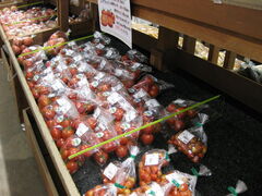 񂳂̓̉w  EÍ≺ւ̓eʐ^2