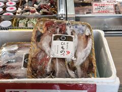 ʂ̓̉w ɓ}^Eւ̓eʐ^6