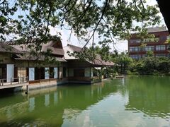 Ђł񂳂̖@{_ْ뉀ւ̓eʐ^1