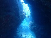 Miyako Blue Trip̓eʐ^1